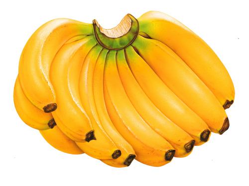 ����ǰ���㽶���������(ͼ1)