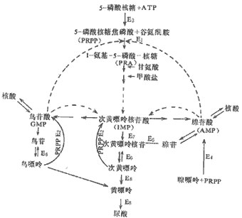 ʹ�缰������Ѫ֢